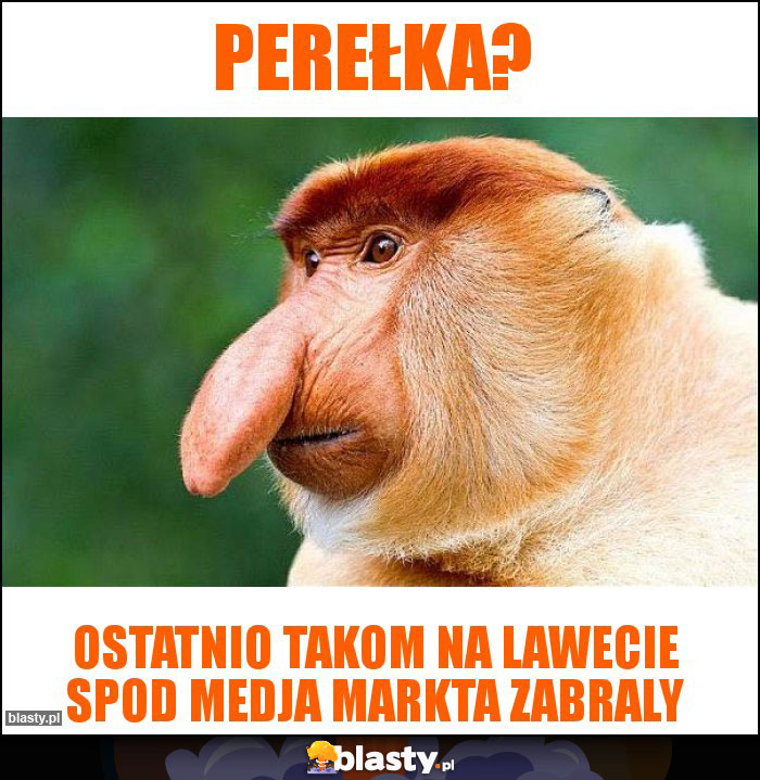 Perełka?