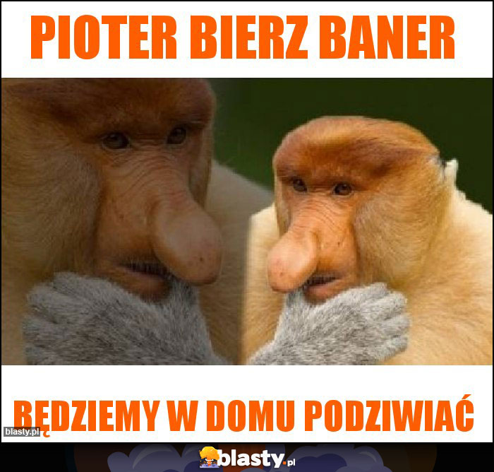 Pioter bierz baner