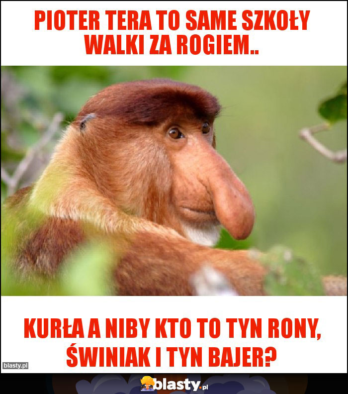 Pioter tera to same szkoły walki za rogiem..