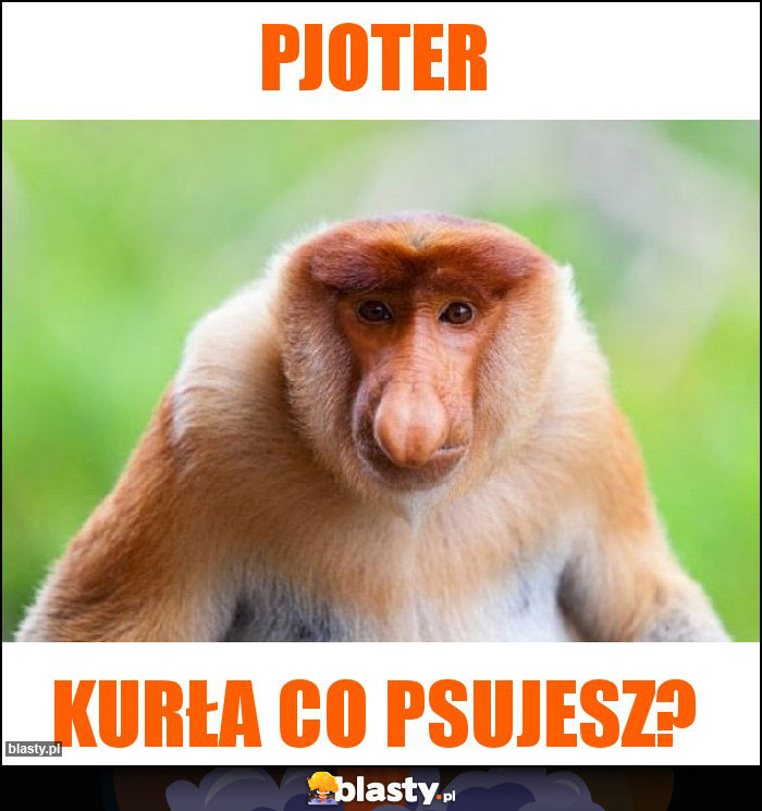 Pjoter