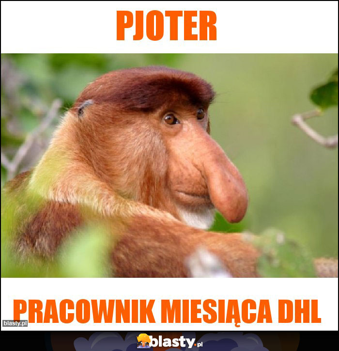 PJOTER