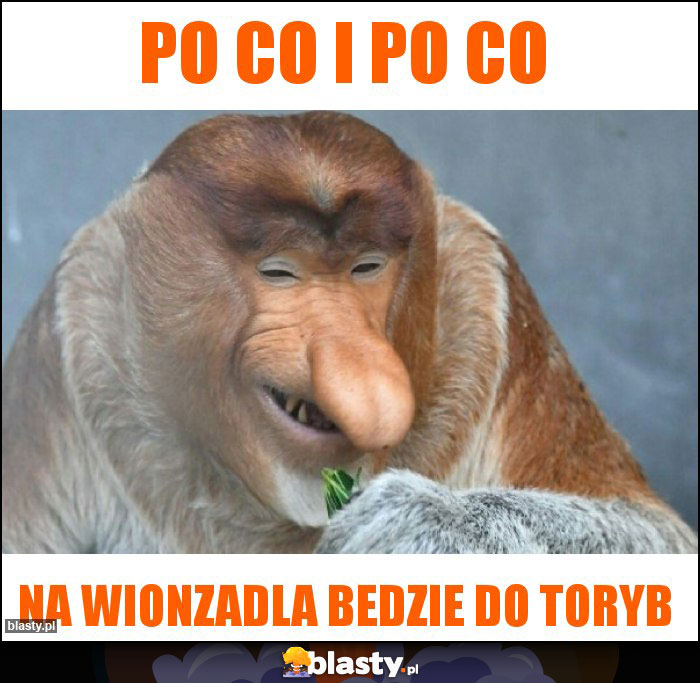 po co i po co