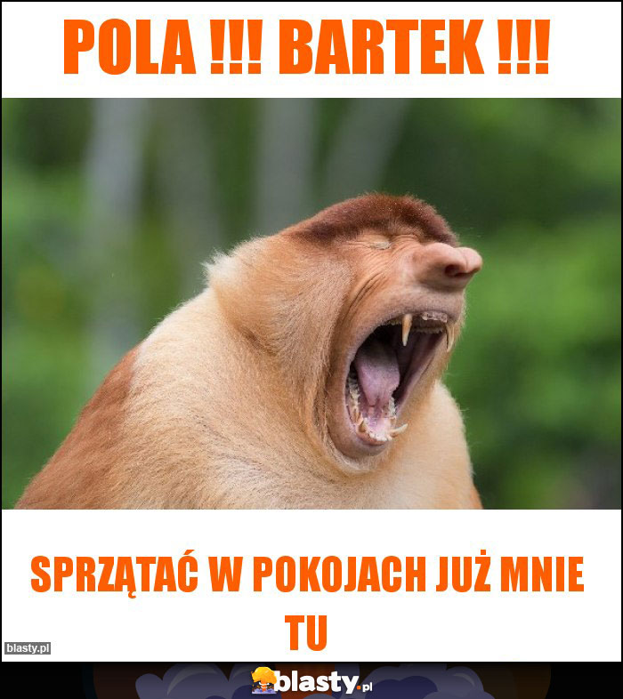 Pola !!! Bartek !!!