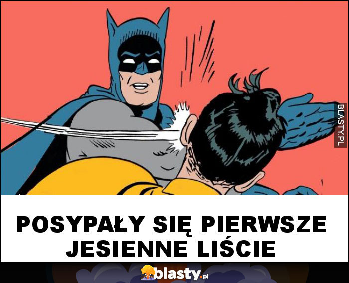 Posypały się pierwsze jesienne liście