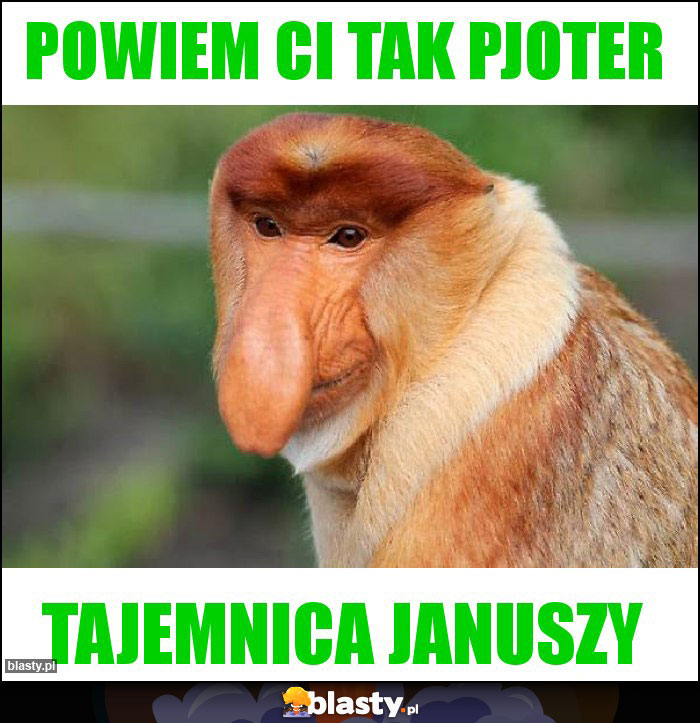 Powiem Ci tak pjoter
