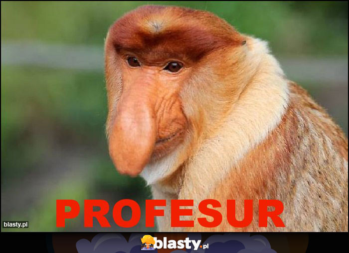 Profesur