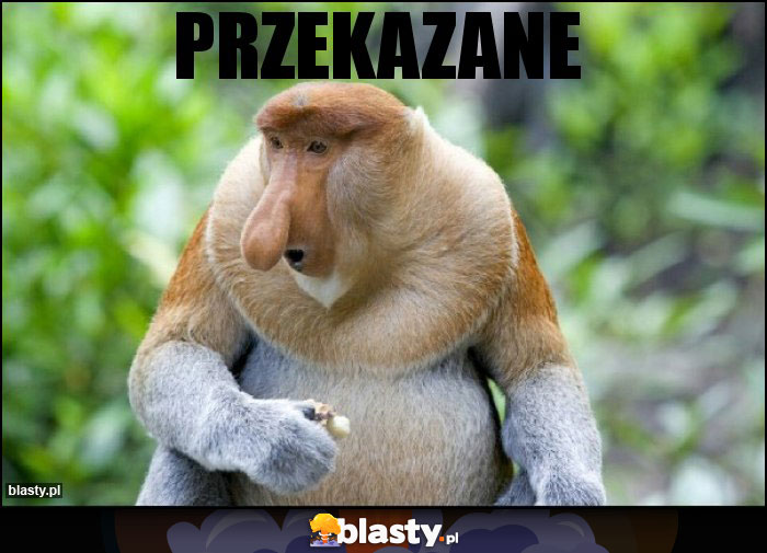 PRZEKAZANE