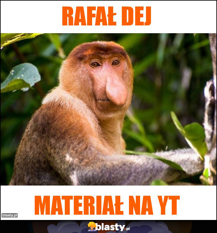 rafał dej