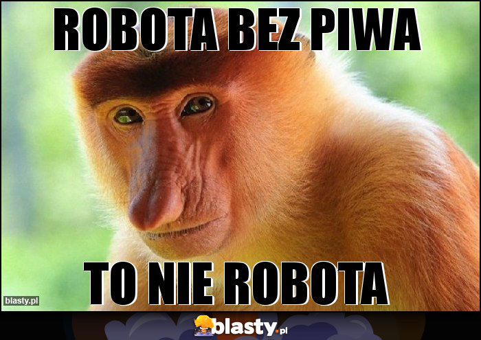 Robota bez piwa