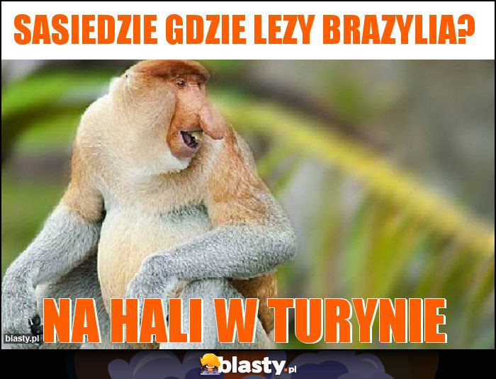 Sasiedzie gdzie lezy Brazylia?
