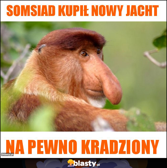 Somsiad kupił nowy jacht