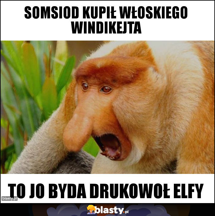 Somsiod kupił włoskiego windikejta