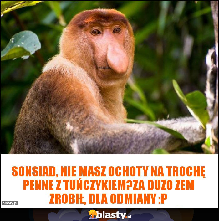SONSIAD, NIE MASZ OCHOTY NA TROCHĘ PENNE Z TUŃCZYKIEM?ZA DUZO ZEM ZROBIŁ, DLA ODMIANY :P