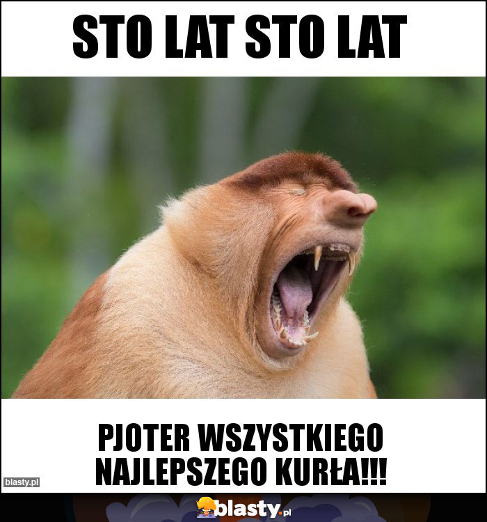 STO LAT STO LAT