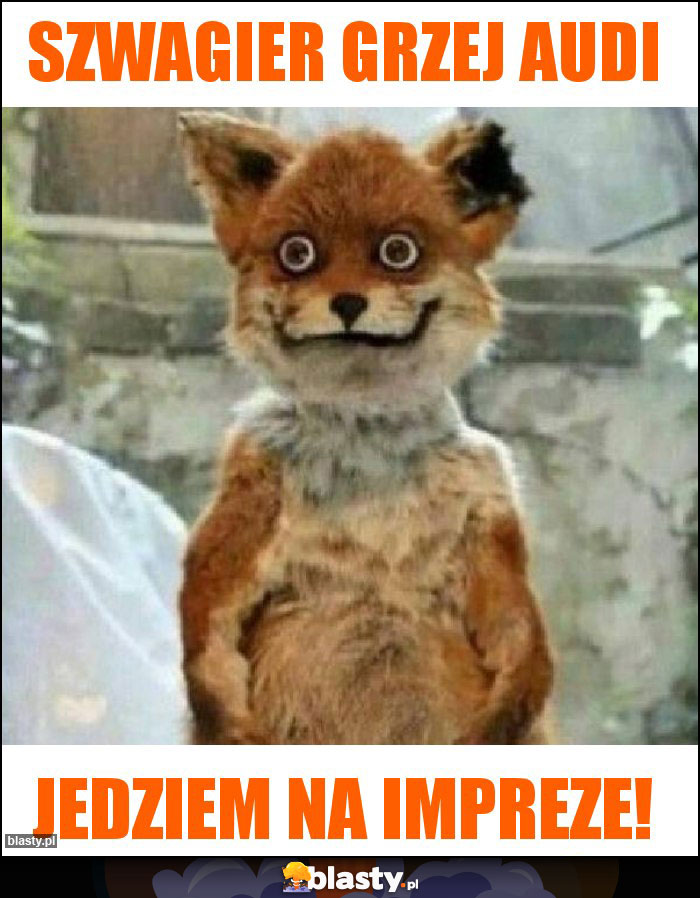 Szwagier grzej Audi