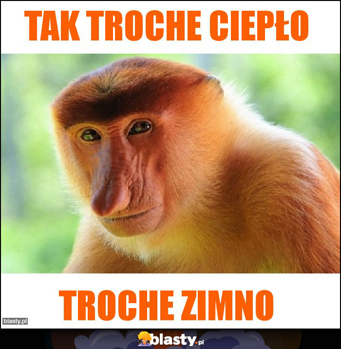 Tak troche ciepło