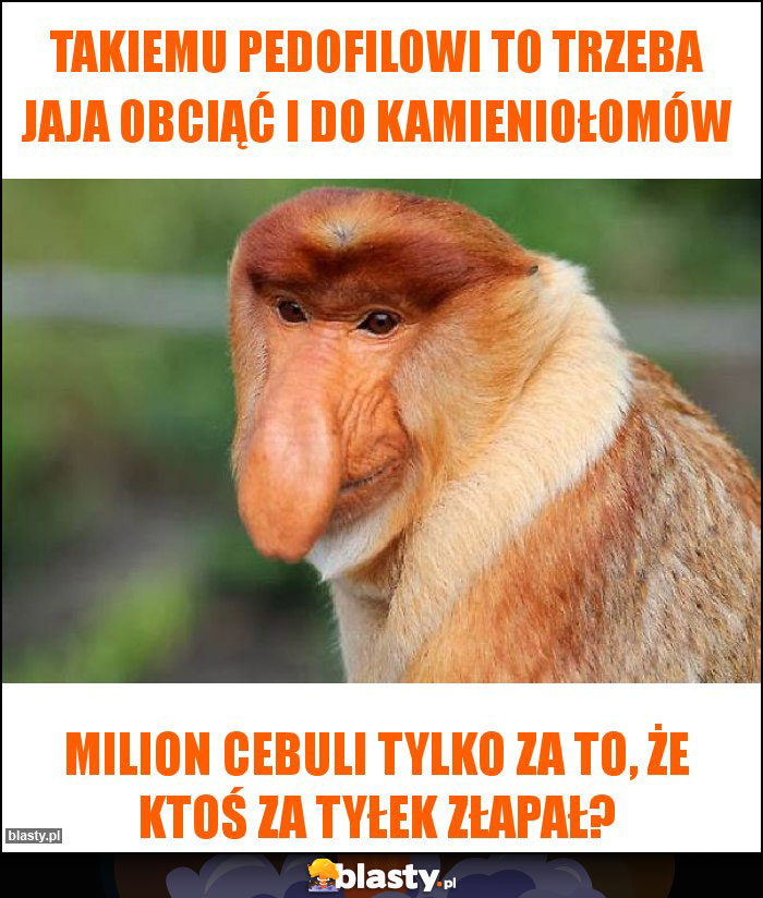 takiemu pedofilowi to trzeba jaja obciąć i do kamieniołomów