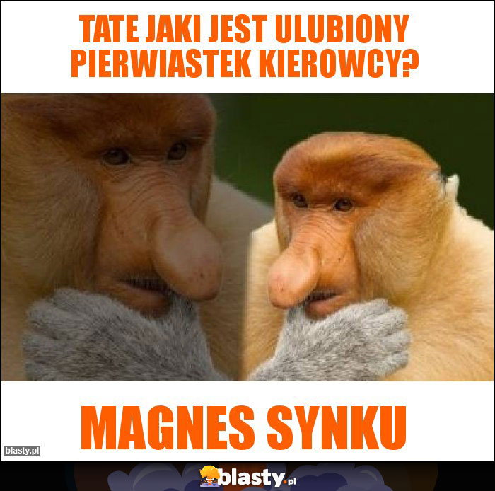 Tate jaki jest ulubiony pierwiastek kierowcy?
