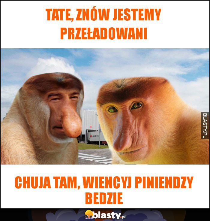 Tate, znów jestemy przeładowani