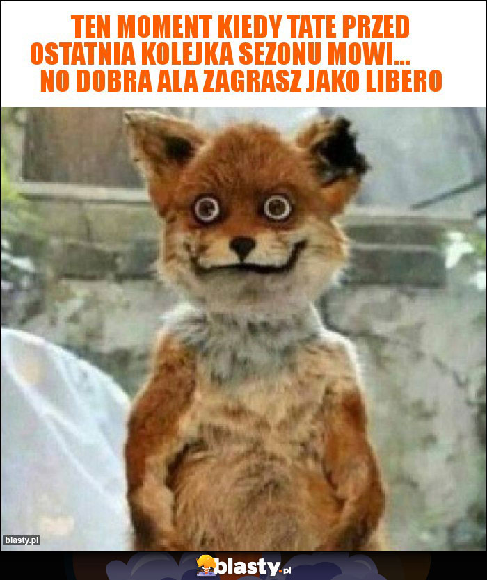 Ten Moment kiedy tate przed ostatnia kolejka sezonu mowi...          No dobra ala zagrasz jako libero