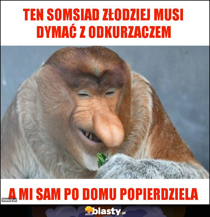 TEN SOMSIAD ZŁODZIEJ MUSI DYMAĆ Z ODKURZACZEM