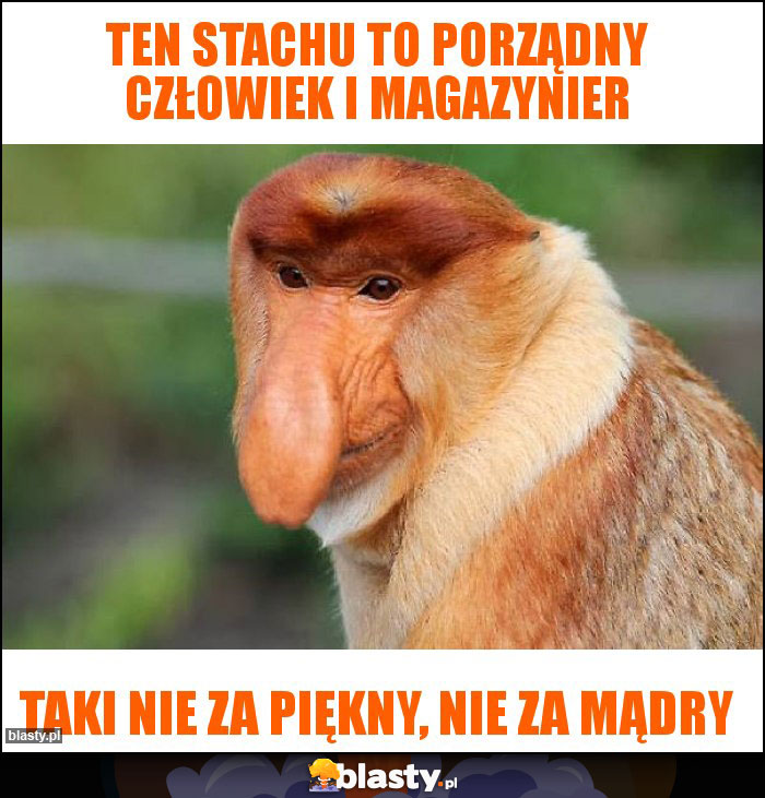 Ten Stachu to porządny człowiek i magazynier