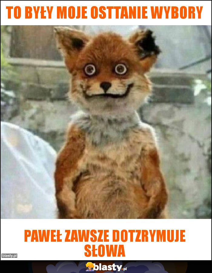 to były moje osttanie wybory
