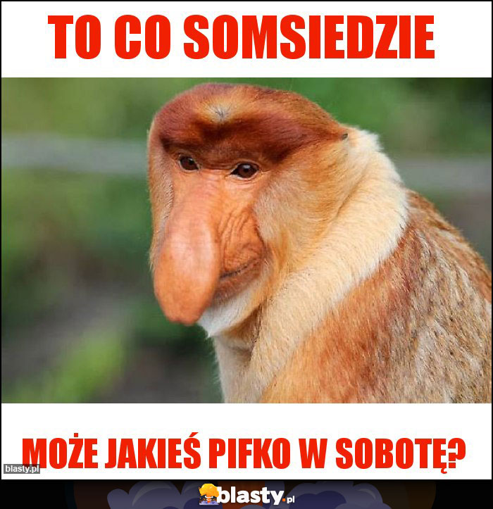 To co somsiedzie