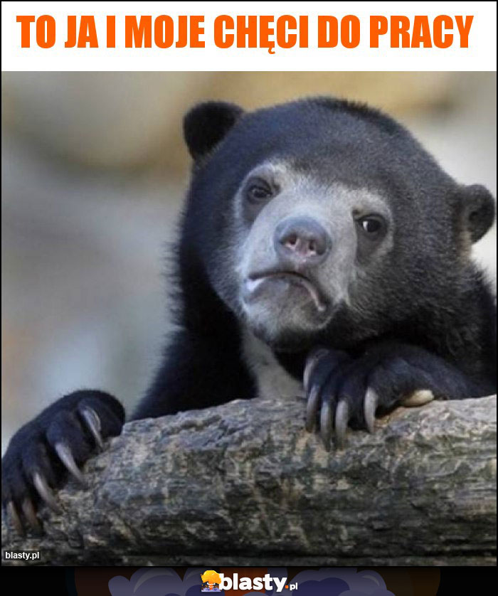 To ja i moje chęci do pracy