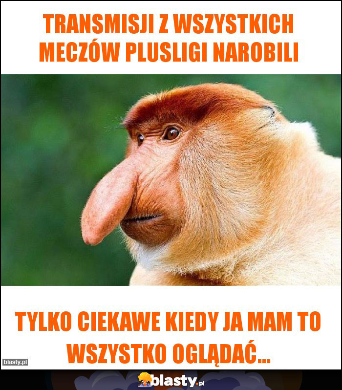 Transmisji z wszystkich meczów Plusligi narobili