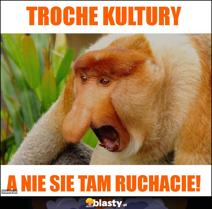 troche kultury