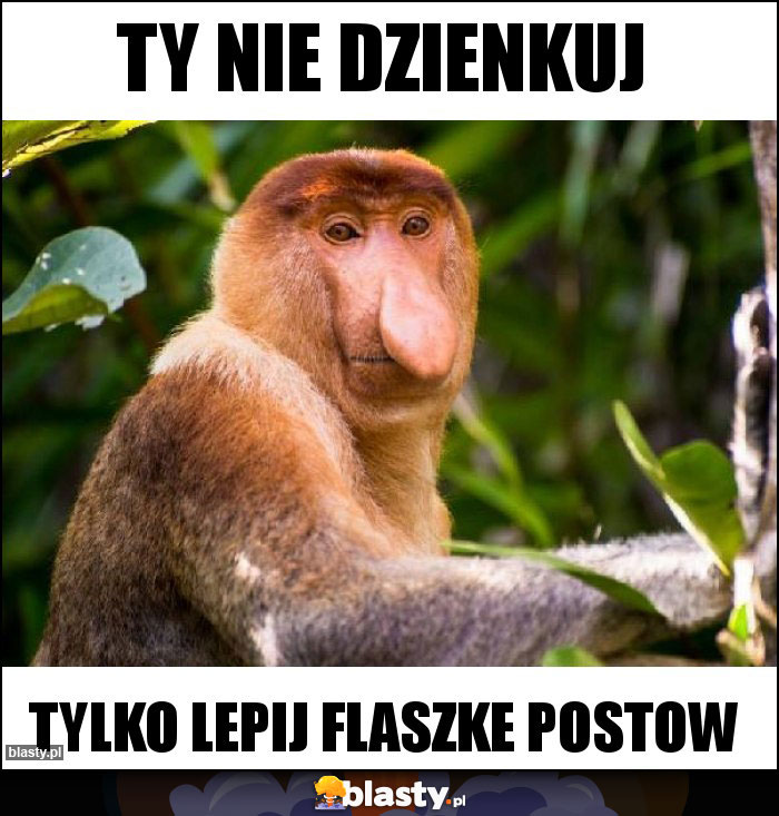 Ty nie dzienkuj