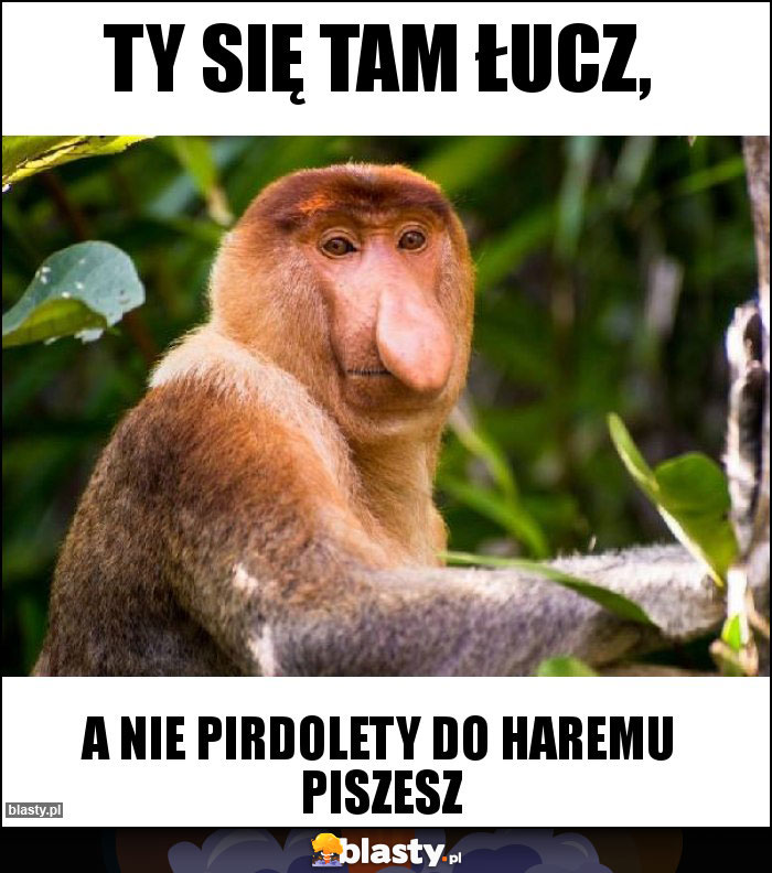 Ty się tam łucz,