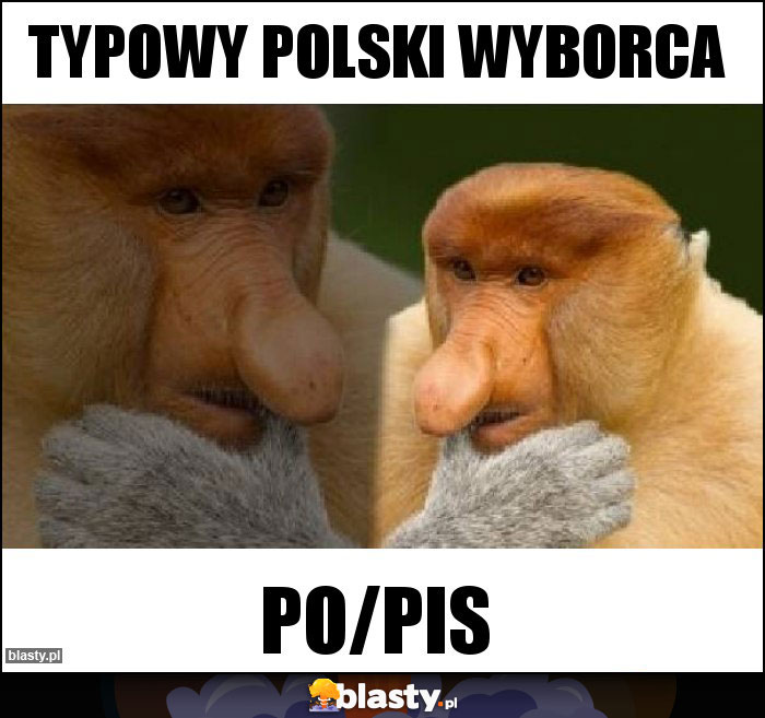 Typowy polski wyborca
