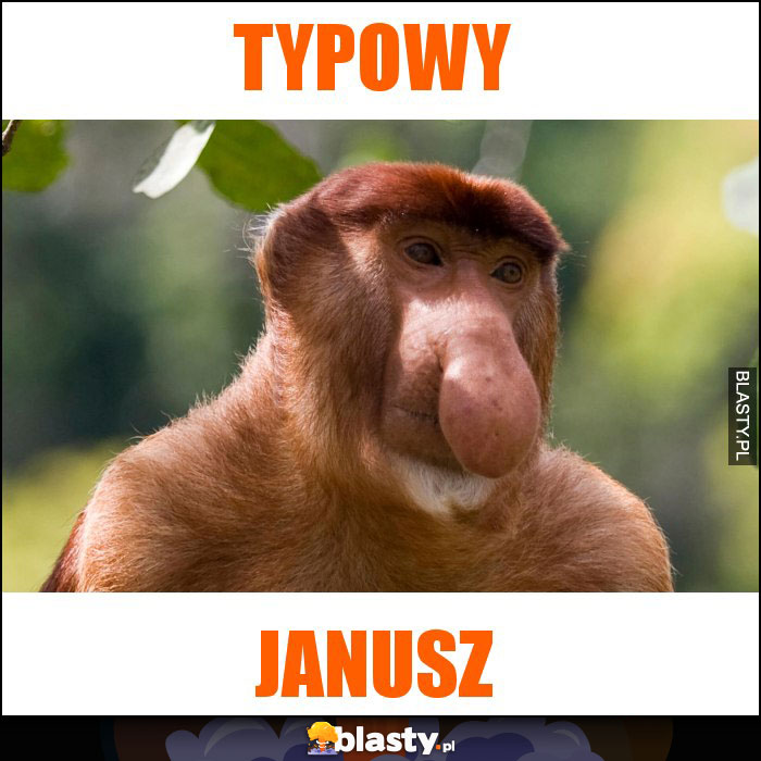 Typowy