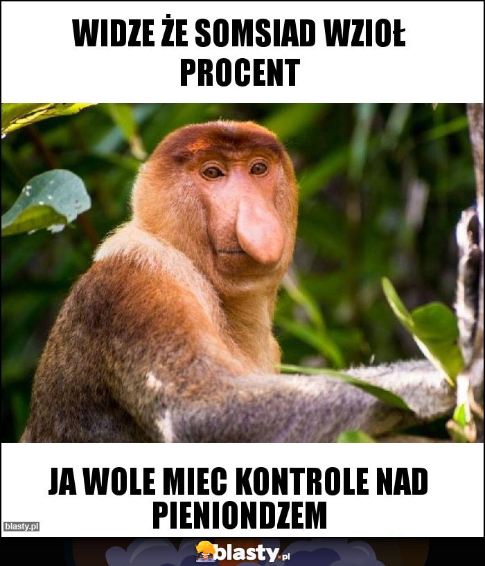 Widze że somsiad wzioł procent