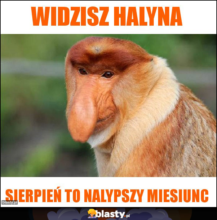 widzisz halyna