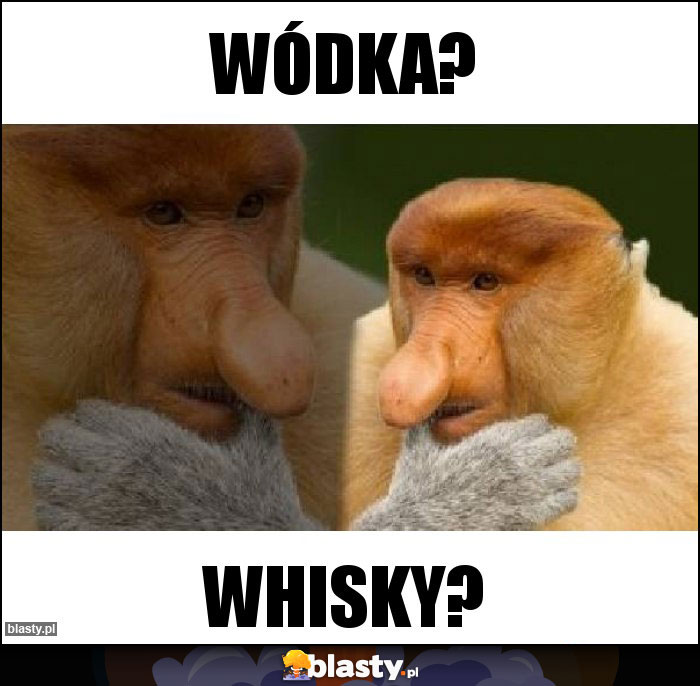 Wódka?