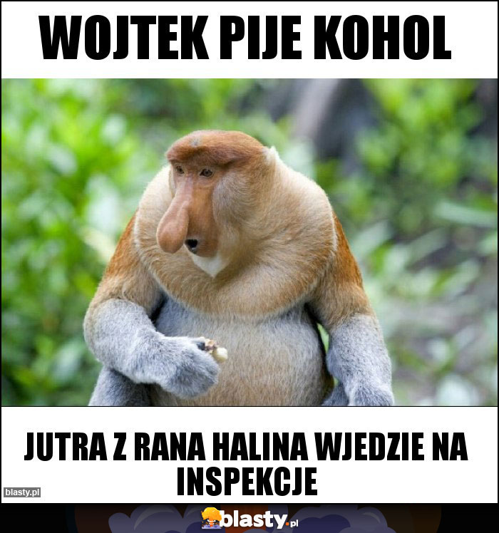 Wojtek Pije kohol