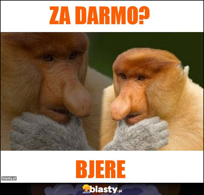 Za darmo?