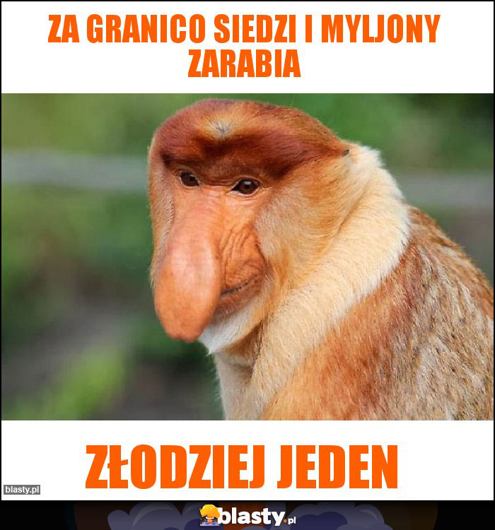 Za granico siedzi i myljony zarabia