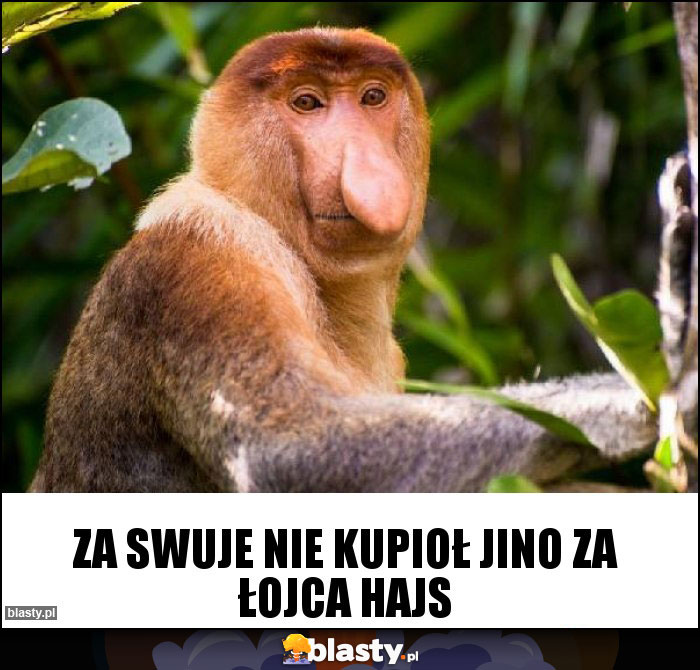 Za swuje nie kupioł jino za łojca hajs