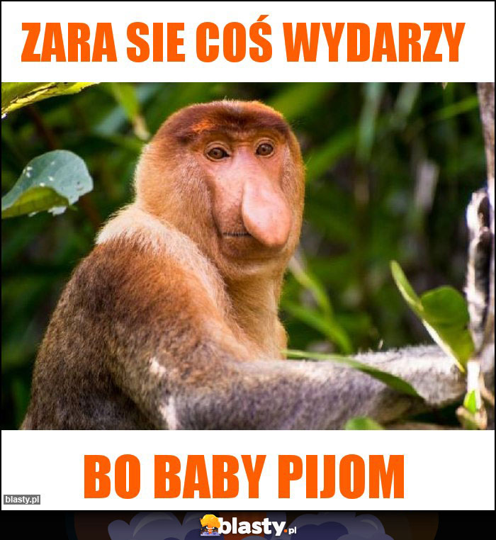 Zara sie coś wydarzy