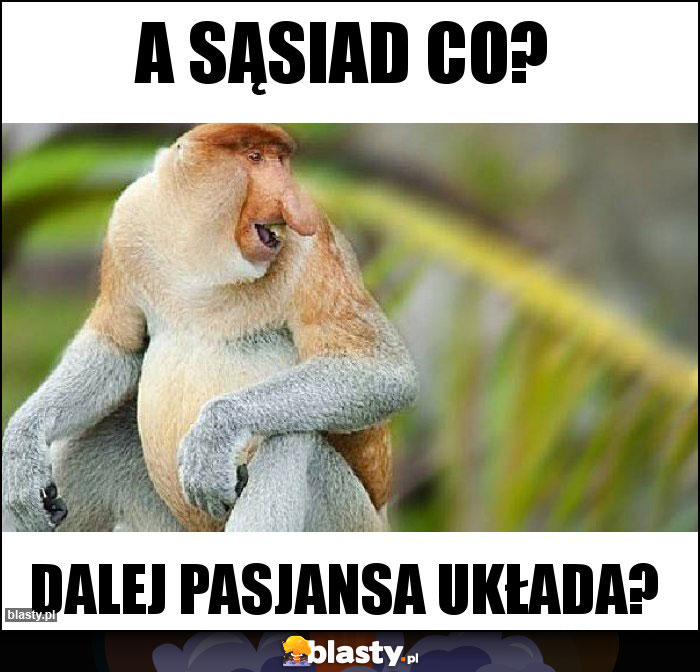 A sąsiad co?