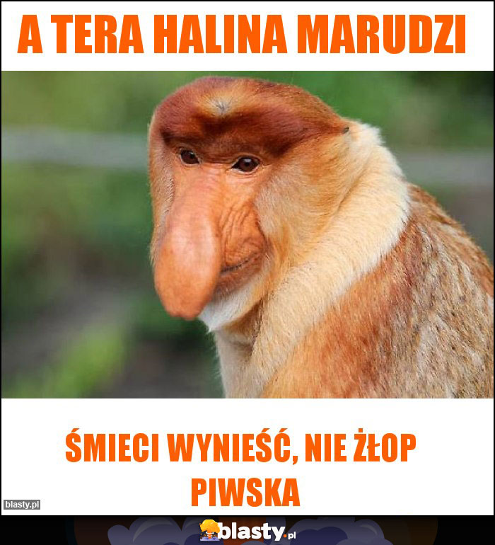 A tera Halina marudzi