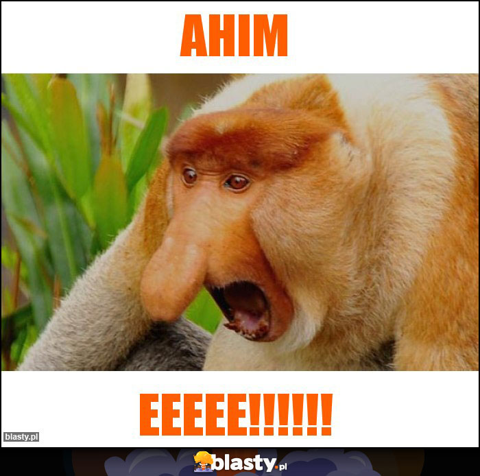 Ahim