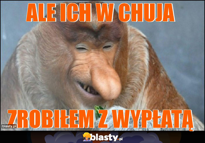 Ale ich w chuja