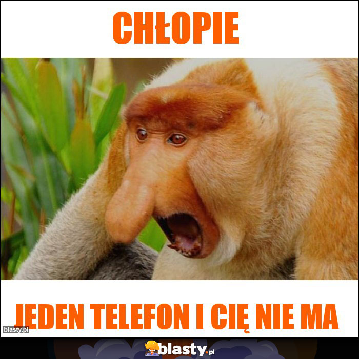 Chłopie