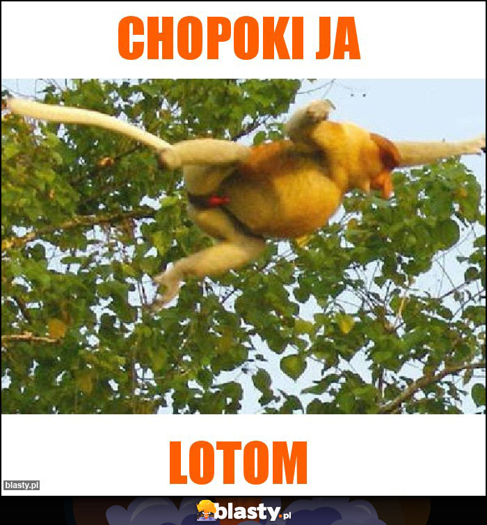 CHOPOKI JA