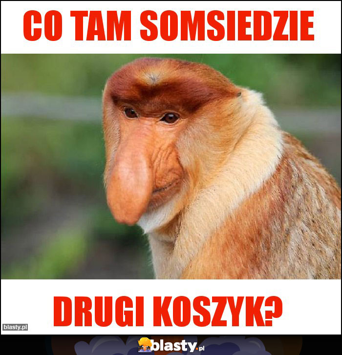 CO TAM SOMSIEDZIE